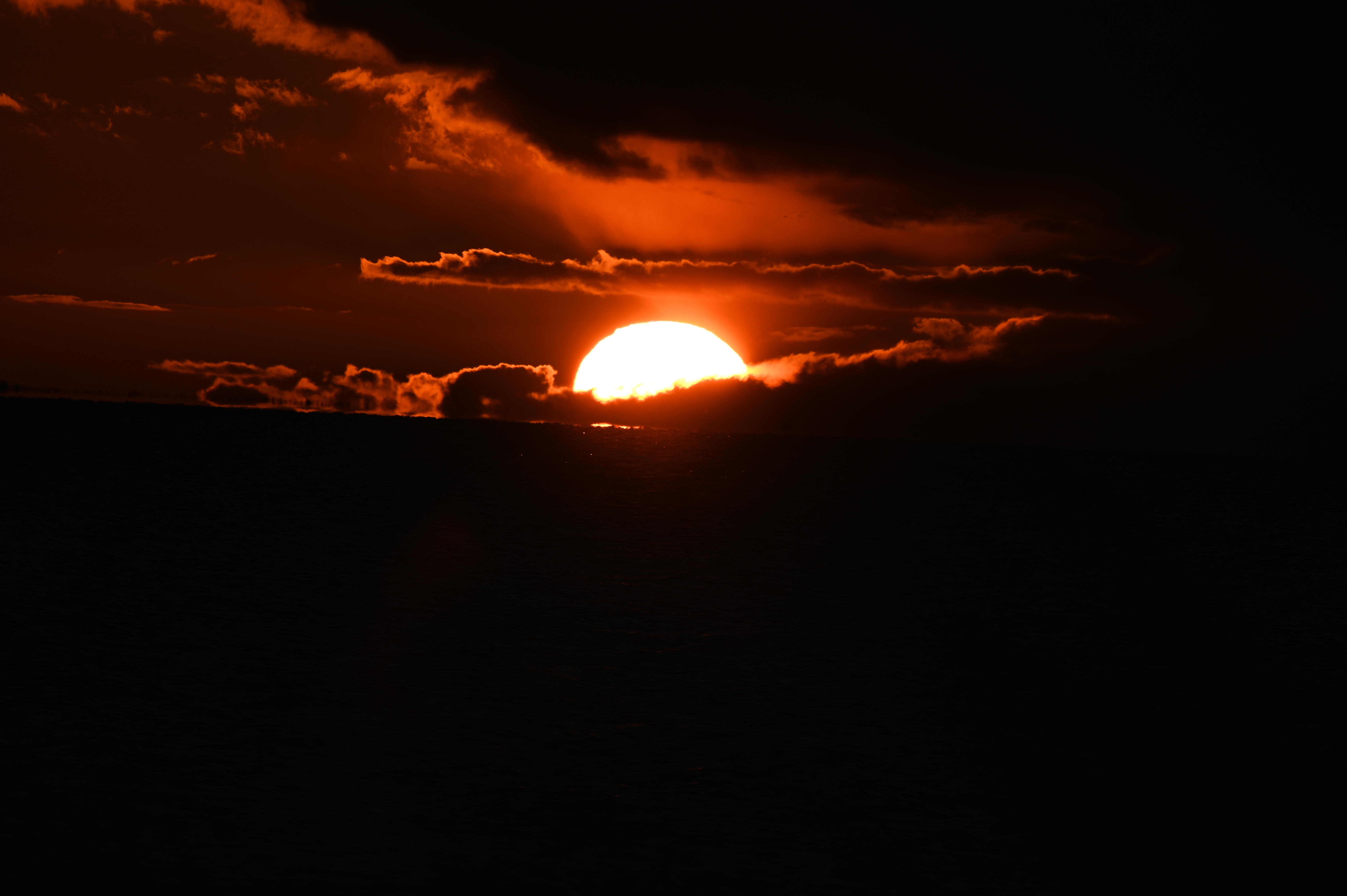 2025/10/18 - walk/DSC_0481.JPG